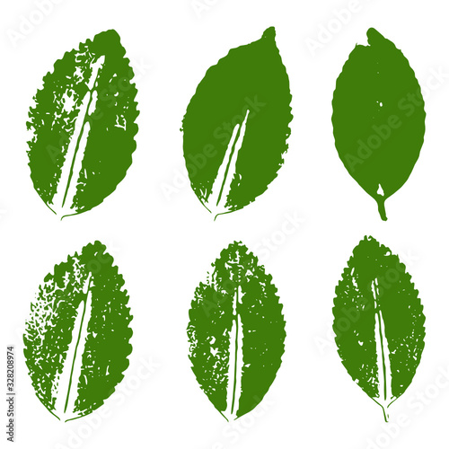 set of green leaves