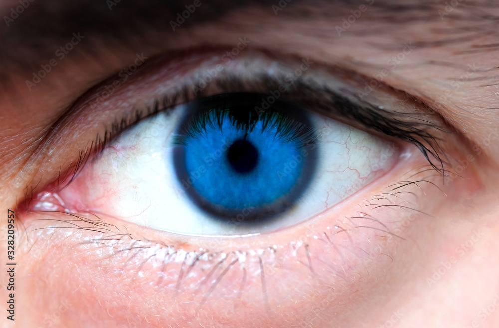 Obraz premium Close-up of the human perfect blue eyes for perfect vision.Health concept