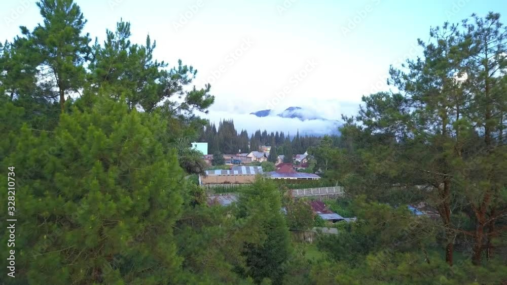 Drone shot aerial forward fly through between green trees branches toward the houses and mountains in the suburb.