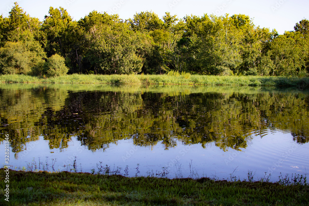 Fototapeta premium Tree reflections on the river