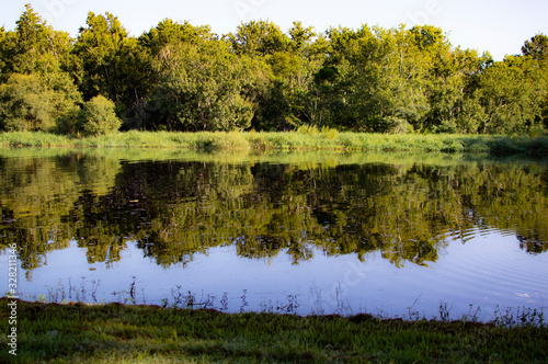 Tree reflections on the river