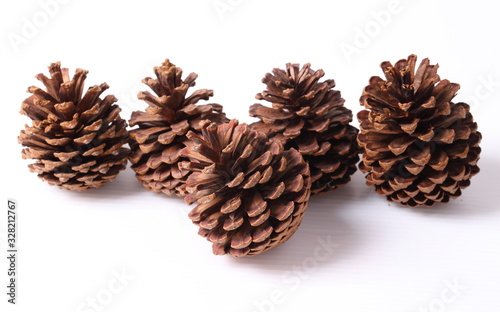 Flowers of pine on white background