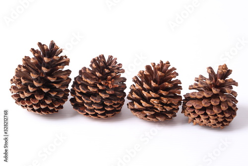 Flowers of pine on white background