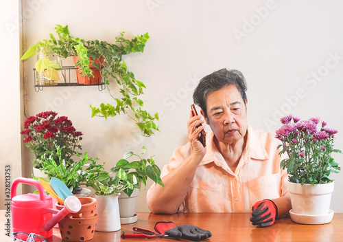 senior  woman  sitting at wooden table indoor , talking on mobile phone while taking care of plant.Gadening concept. photo