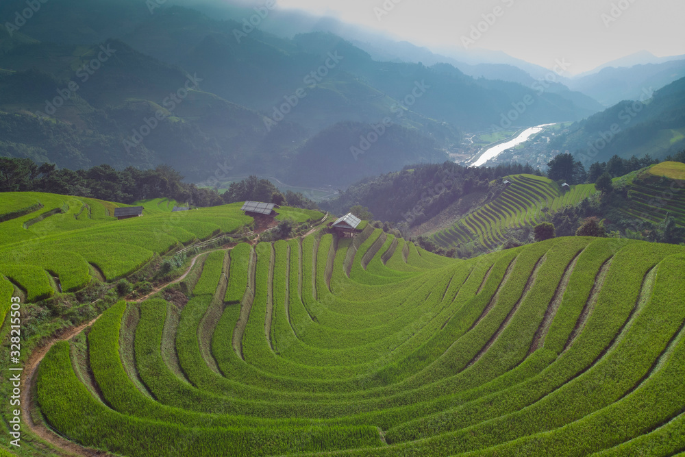 Aerial view of Paddy filed at Mu Cang Chai in Vietnam during harvest season.