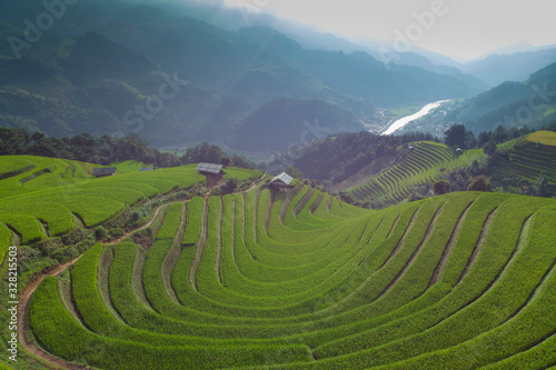 Aerial view of Paddy filed at Mu Cang Chai in Vietnam during harvest season.