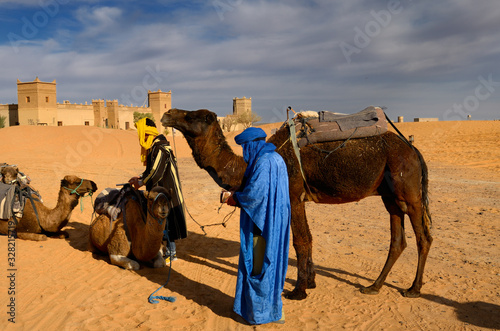 Berber men tending Dromedary camels after a morning ride in Erg Chebbi desert at Auberge du Sud © Reimar