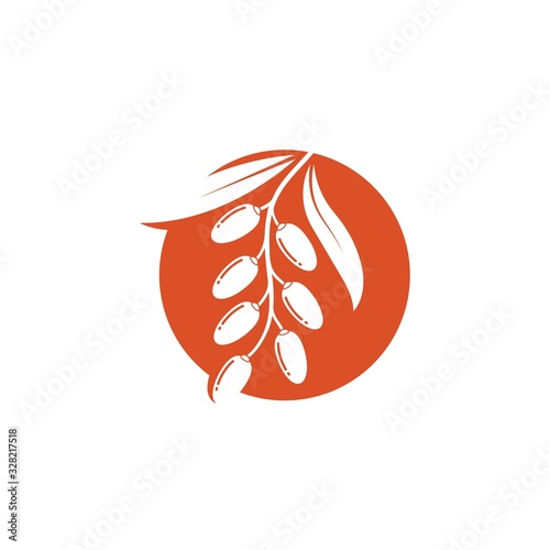 date fruit vector illustration design