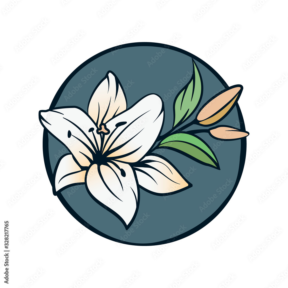 Fototapeta premium Lily flowers on white background.