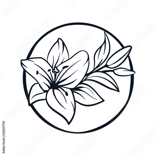 Lily flowers. Blooming lily. Card or floral background with blooming lilies. Silhouette of a lily flowers on a white background. Vector illustration. -