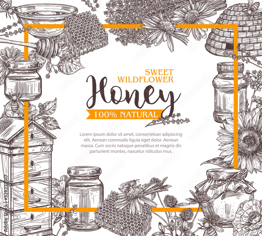 Hand drawn vector honey background. Poster or card with sketch ...
