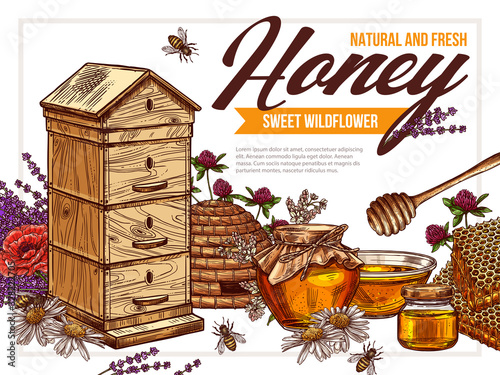 Vector hand drawn honey colorful design of poster. Sketch illustration with wildflowers, hives, honeycombs, jars, pots on background. Template for beekiping business