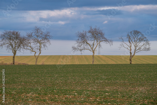 Wallpaper Mural Rural farmland and grassland at countryside at dusk Torontodigital.ca