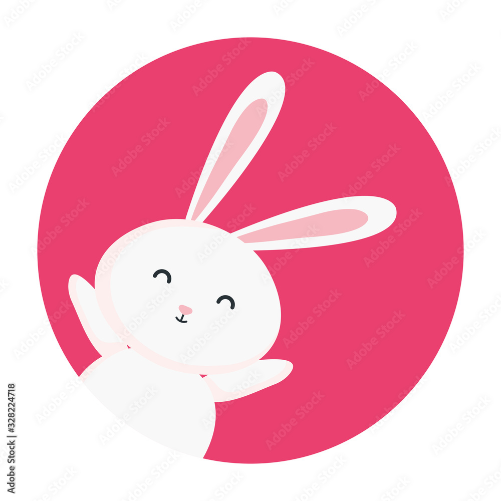 cute rabbit animal in frame circular cute rabbit animal in frame circular