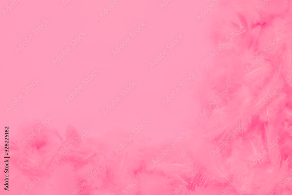 Beautiful abstract colorful white and pink feathers on white background and soft white feather texture on pink pattern, pink background banners 	