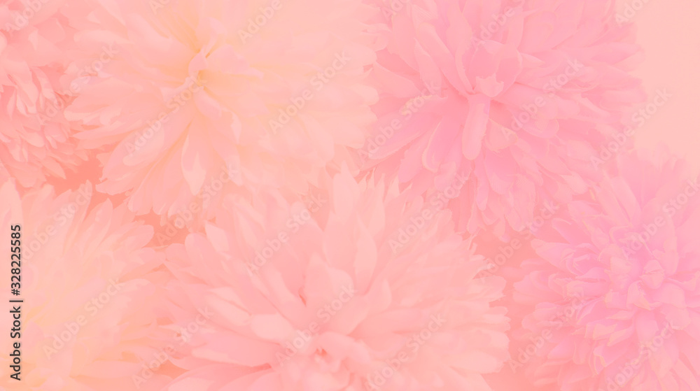 Fototapeta premium Beautiful abstract color white and pink flowers graphic on pink background and yellow and white flower frame and orange leaves texture, pink background, colorful graphics banner happy valentine