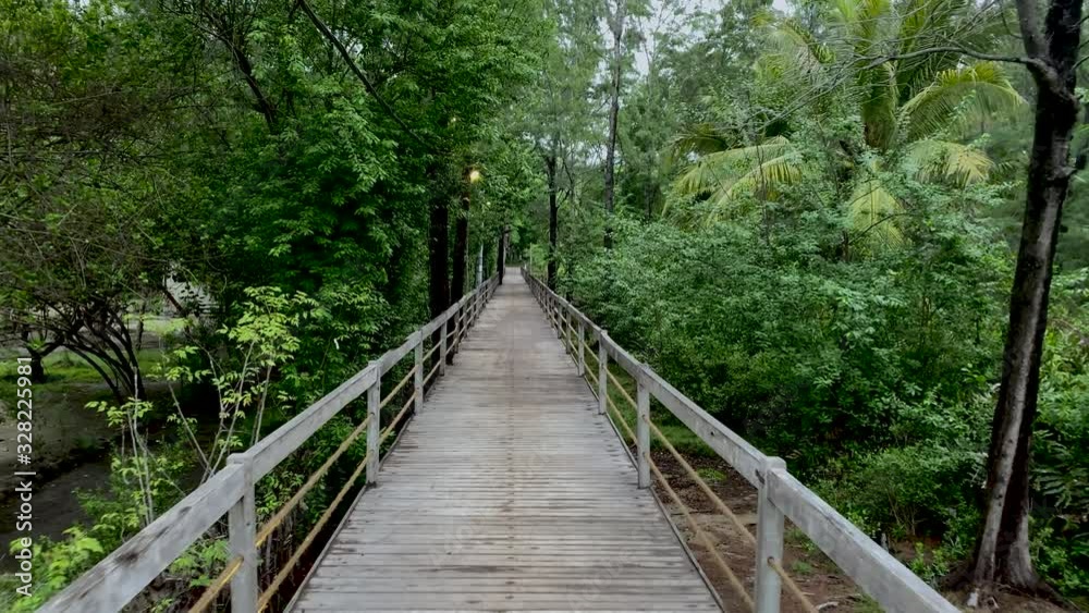 POV of walking on wooden pier in the forest slow motion POV of walking on wooden pier in the forest slow motion