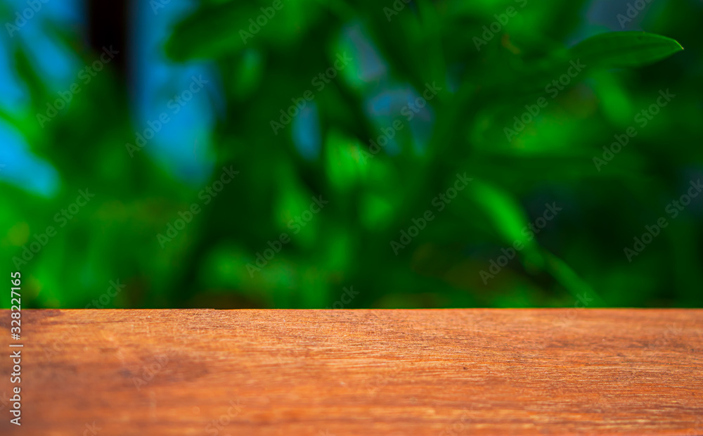 Empty space with background of Green plant on garden for montage or display your products. Empty space with background of Green plant on garden for montage or display your products.