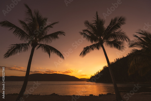 sunset on the beach with palm trees