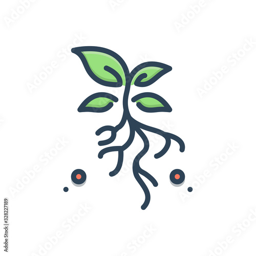 Color illustration icon for grassroots agriculture  photo