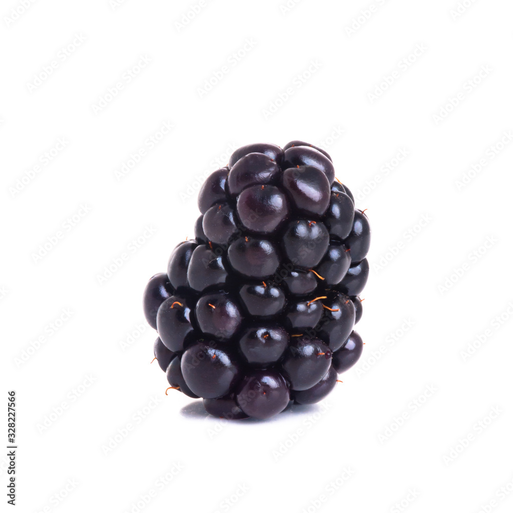 blackberry or fresh blackberry on a background new. blackberry or fresh blackberry on a background new.
