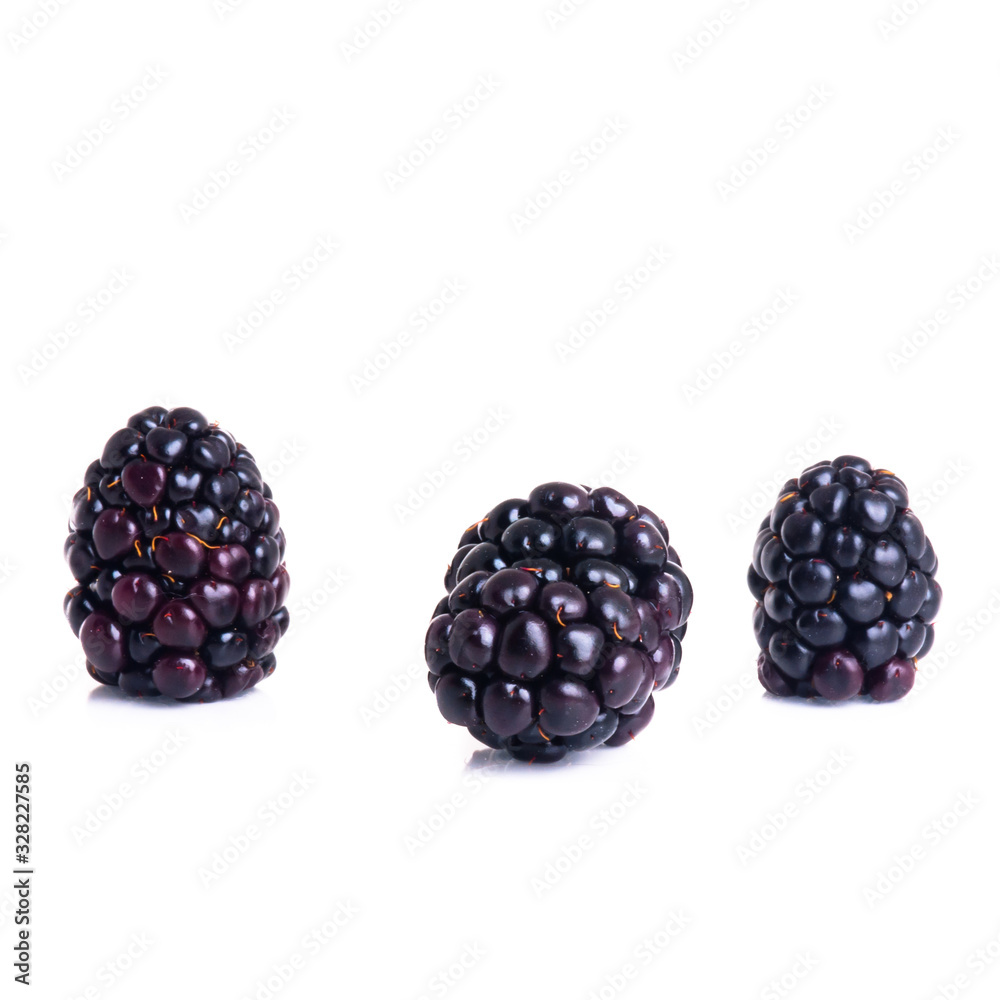 blackberry or fresh blackberry on a background new. blackberry or fresh blackberry on a background new.
