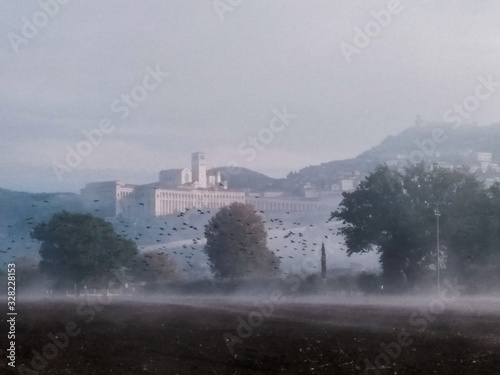 Surreal view of Assisi and St.Francis church (Umbria, Italy) in the middle of fog with a flock of birds over a cultivated field