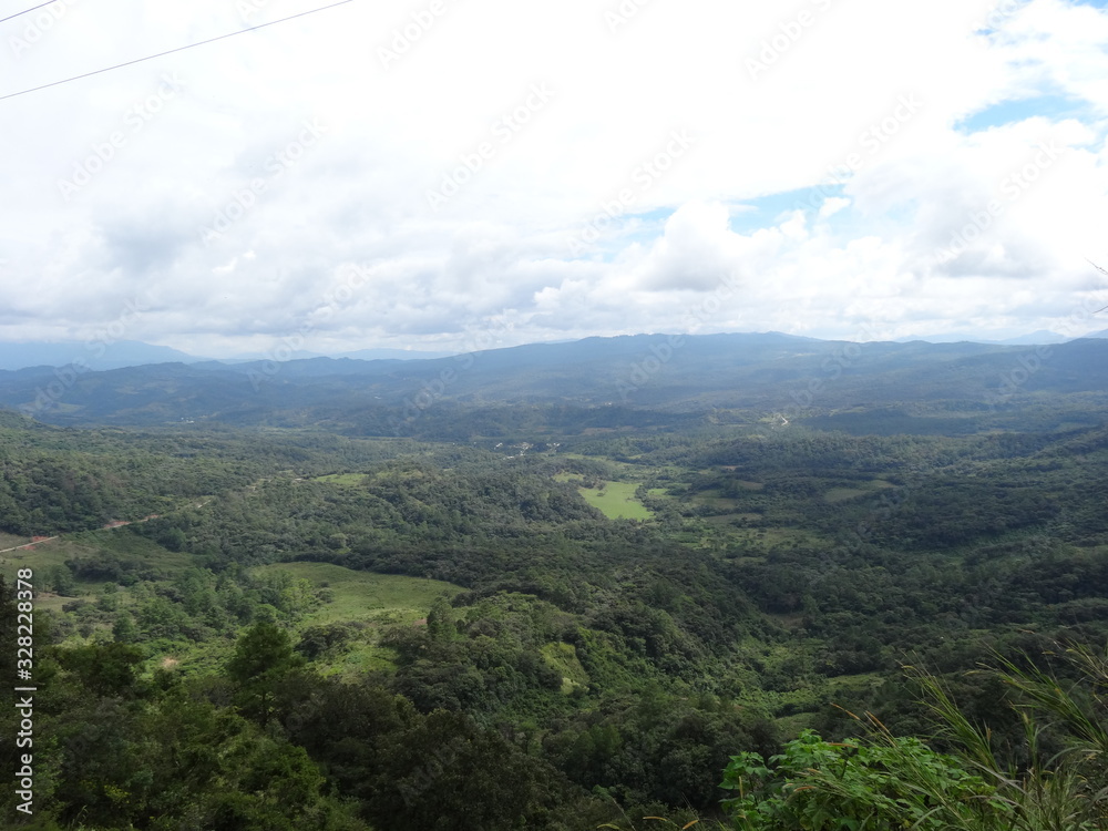 Fototapeta premium chiap