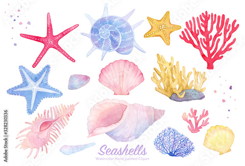 Hand painted watercolor seashells and starfishes, corals. Hand drawn illustration isolated on white background. Watercolor sea animal clipart.