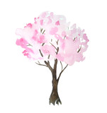 Watercolor hand drawn design illustration of pink cherry sakura tree in bloom blossom flowers. Hanami festival traditional japan japanese culture. Nature landscape plant. Spring march april concept.