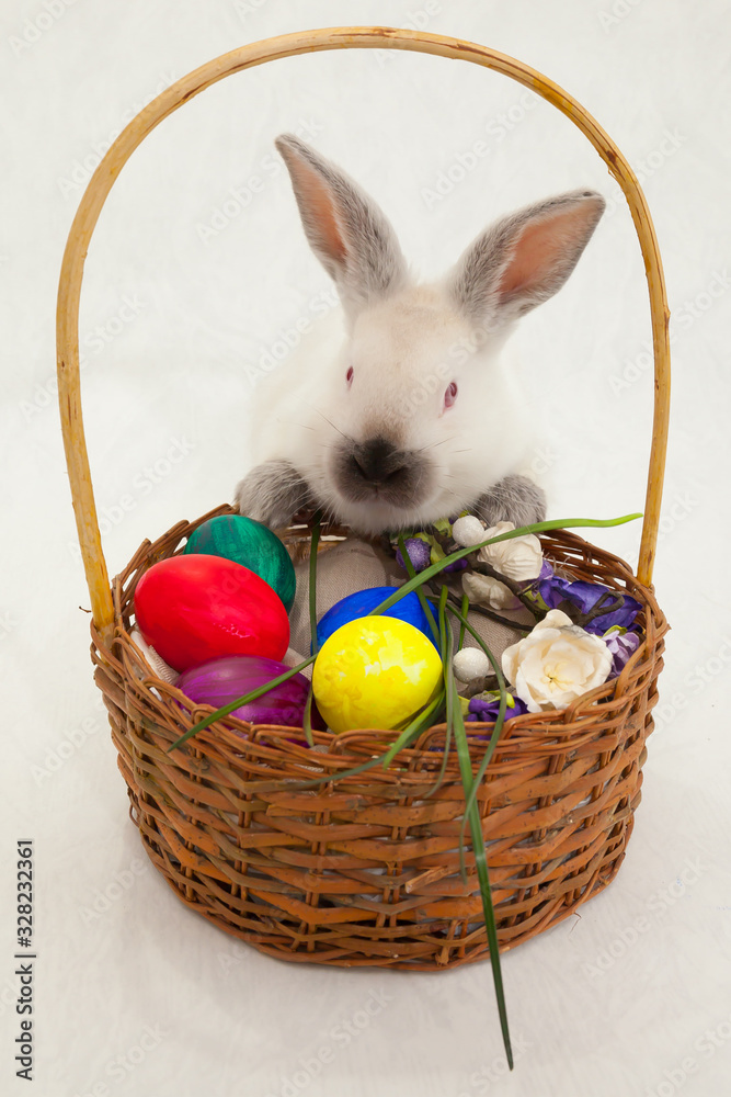 cute Easter light rabbit on a light background with a basket and Easter eggs cute Easter light rabbit on a light background with a basket and Easter eggs