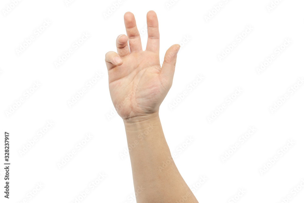 Reach out palm isolated on white background Reach out palm isolated on white background