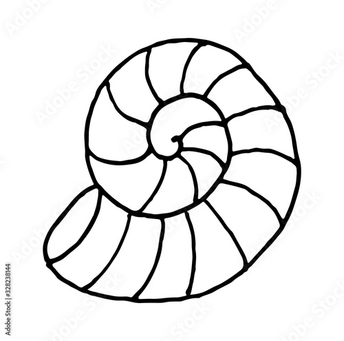 Vector doodle hand drawn sea shell isolated on white background