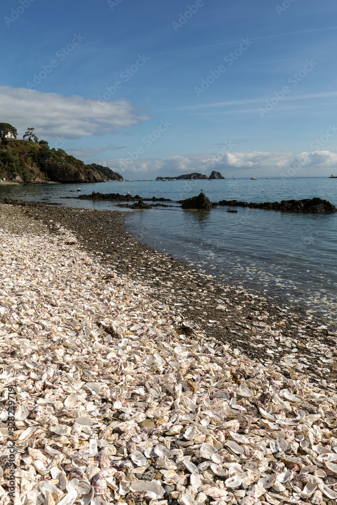 Thousands of empty shells of eaten oysters discarded on sea floor in Cancale, famous for oyster farms.  Brittany, France