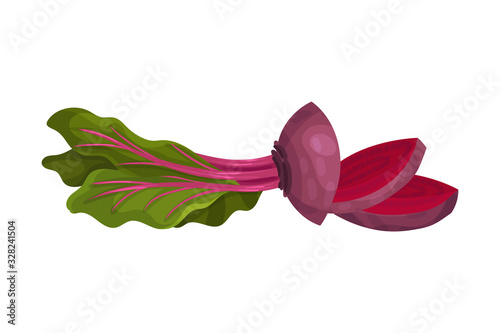 Chopped or Sliced Purple Beetroot Isolated on White Background Vector Illustration