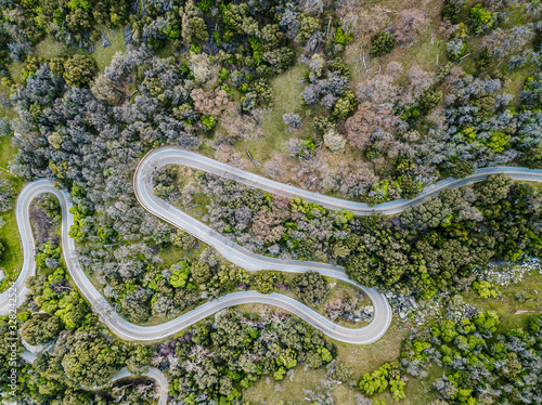 Drone view of curvng road in forestAerial view of a a forest