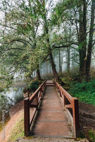 Wooden walkway that leads to Cedar trees in the forest with fog in Alishan National Forest Recreation Area in Chiayi County  Alishan Township  Taiwan.