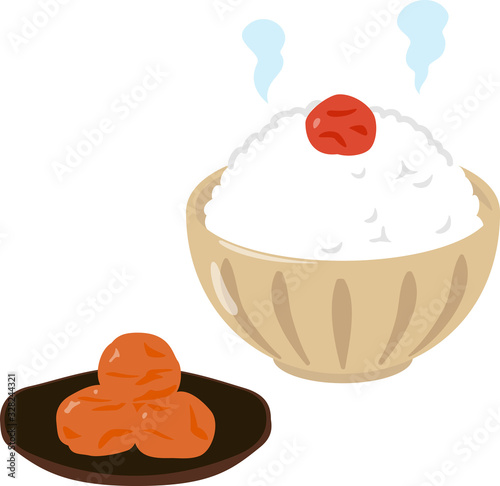 皿に盛った梅干しと梅干しご飯