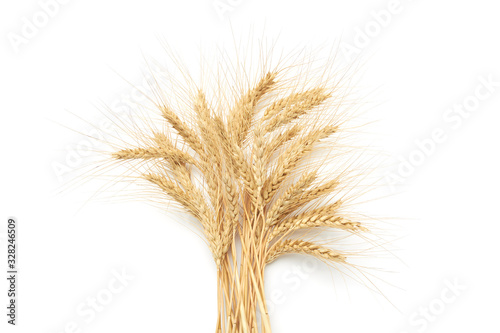Bunch of ripe golden wheat on a white background