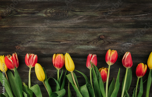 Red, yellow and pink tulips on a brown wooden background copy space. Tulips on an old wooden table flat lay.