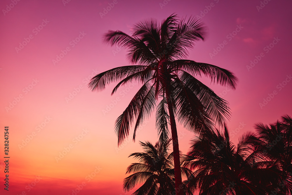 Tall palm tree by the sea on a background of bright red-orange sunset
