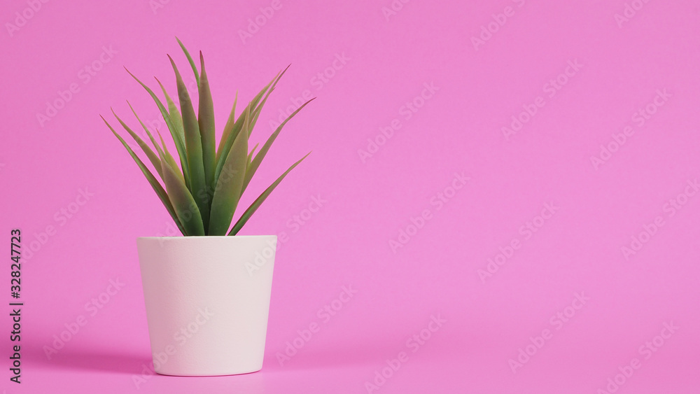Artificial cactus plants or plastic or fake tree on pink background. Artificial cactus plants or plastic or fake tree on pink background.