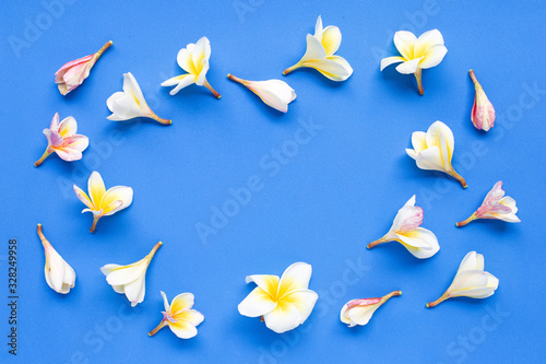 Frame made of plumeria flower on blue surface.