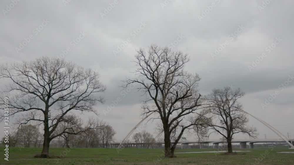 Freeway bridges and trees in Dallas, Texas. Cloudy day. Freeway bridges and trees in Dallas, Texas. Cloudy day.