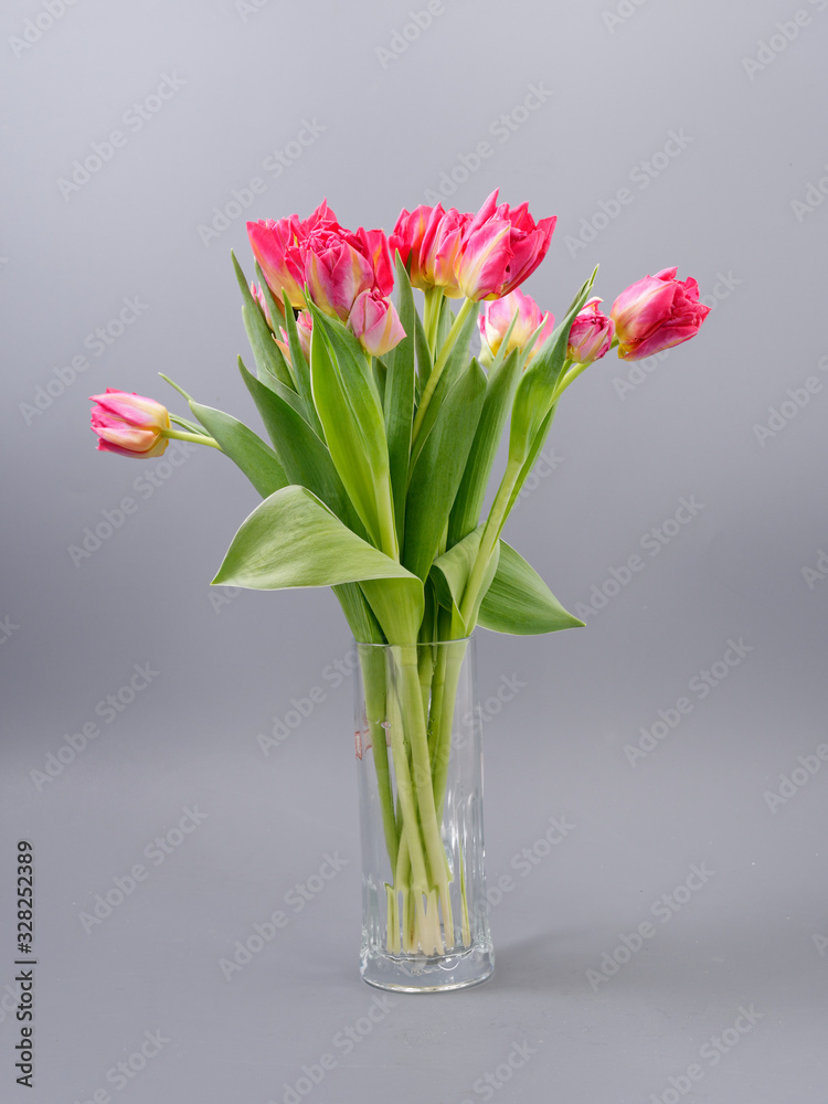 custom made wallpaper toronto digitalspring tender flowers tulips on a gray background
