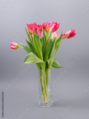 Wallpaper Mural spring tender flowers tulips on a gray background Torontodigital.ca