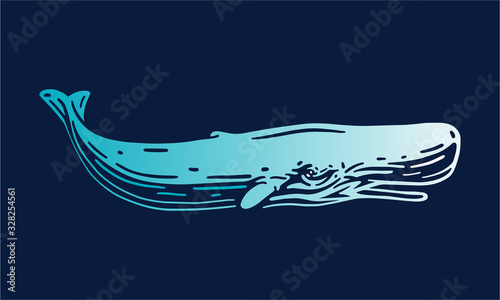 sperm whale on dark background