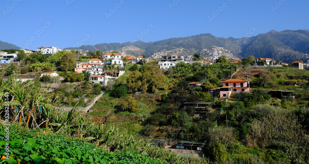 Funchal suburbs and hillside houses, Funchal, Madeira, Portugal