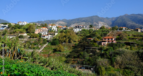 Funchal suburbs and hillside houses, Funchal, Madeira, Portugal