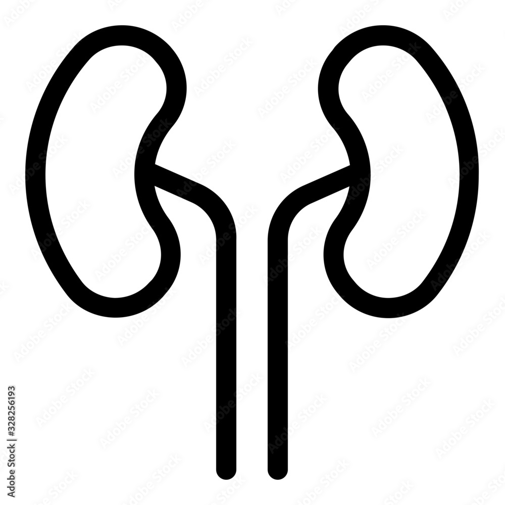 Kidneys Kidneys